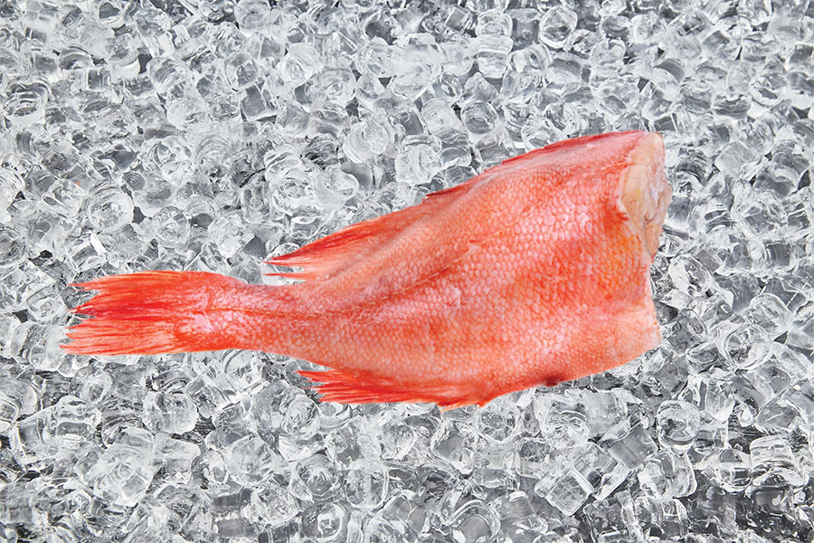 red_fish_small